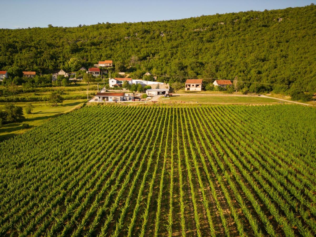 Krolo Villa&Wine Trilj Dış mekan fotoğraf